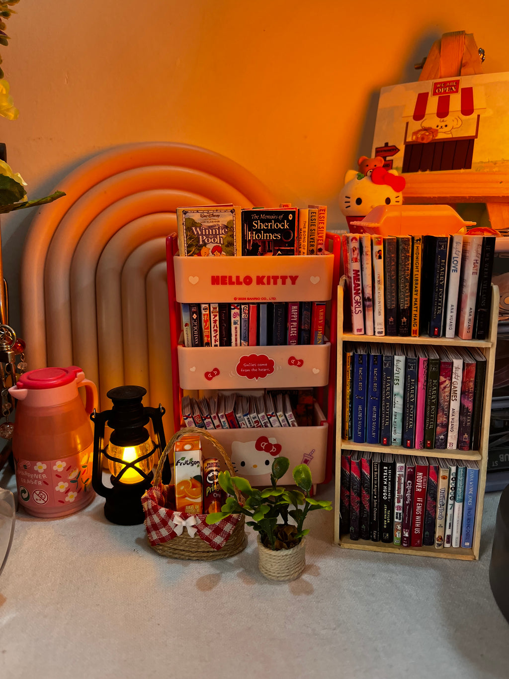 Mini Bookshelf Trolley