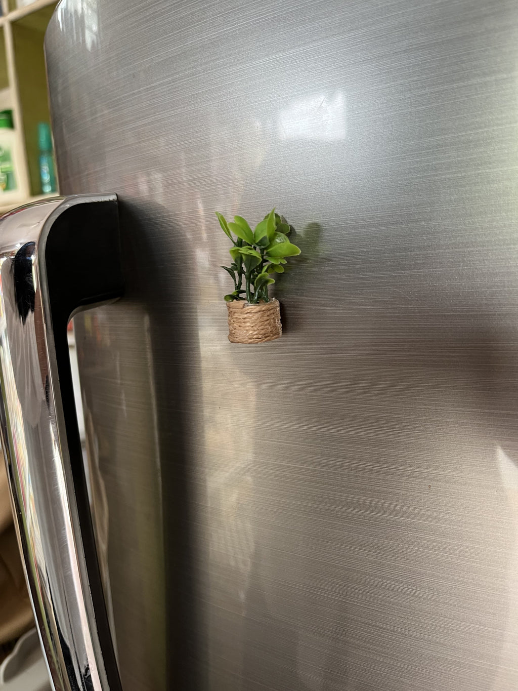 Mini planter Fridge magnet🪴