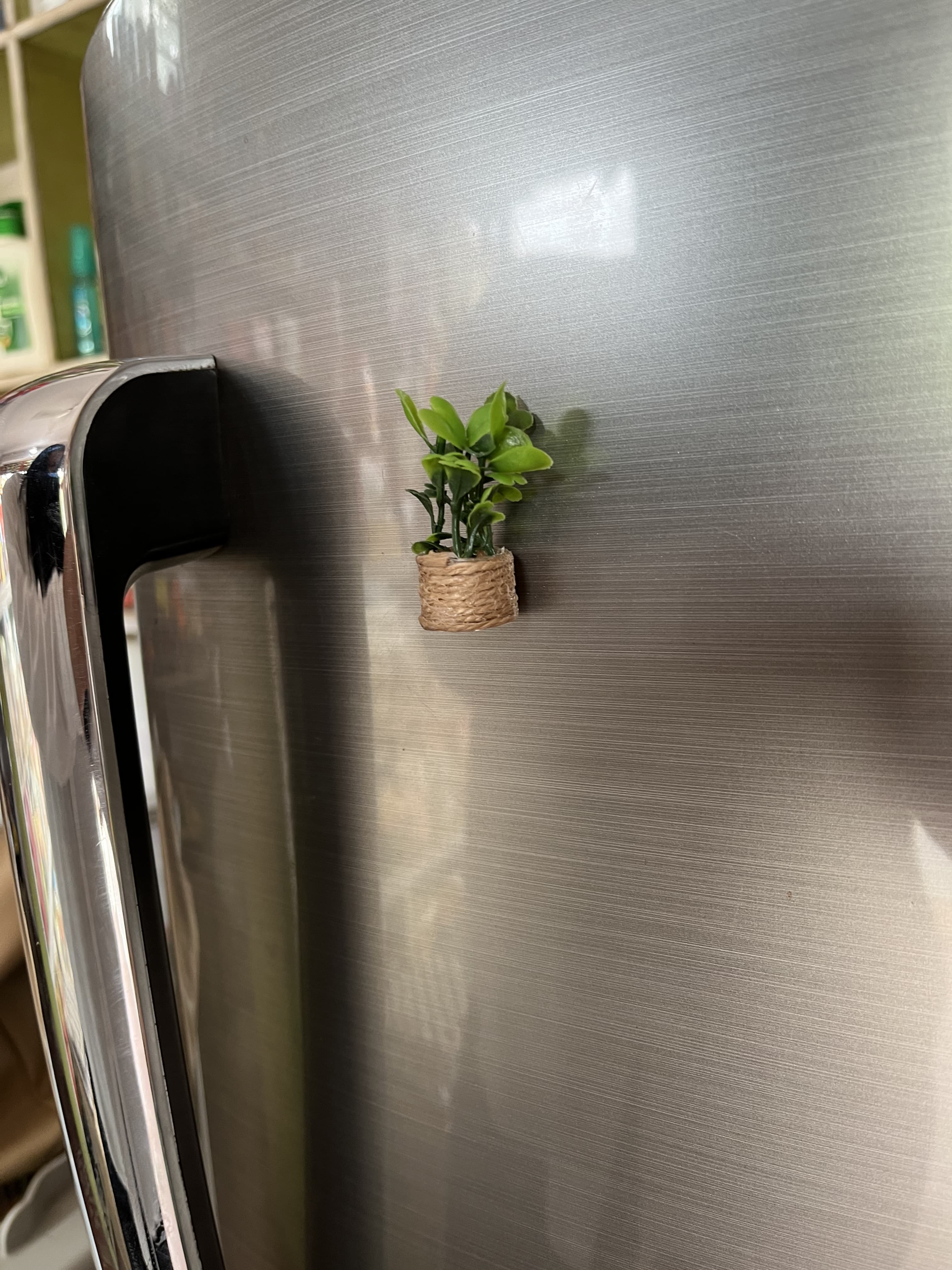 Mini planter Fridge magnet🪴