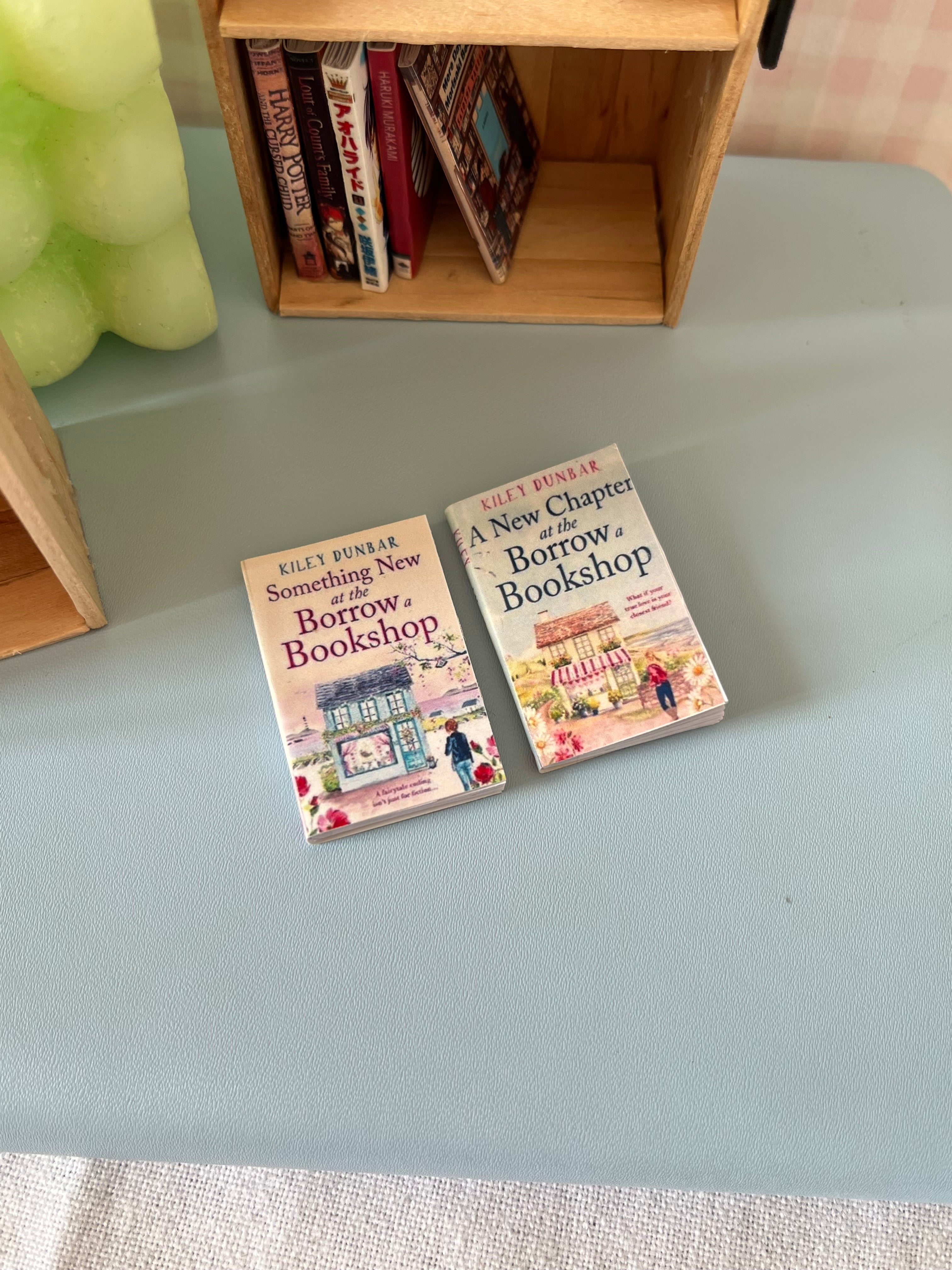 Mini Book magnets- Kiley Dunbar